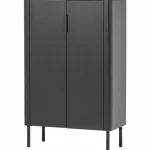 Discount WOOOD Gunnar 2-deurs Kast Grenen Matzwart