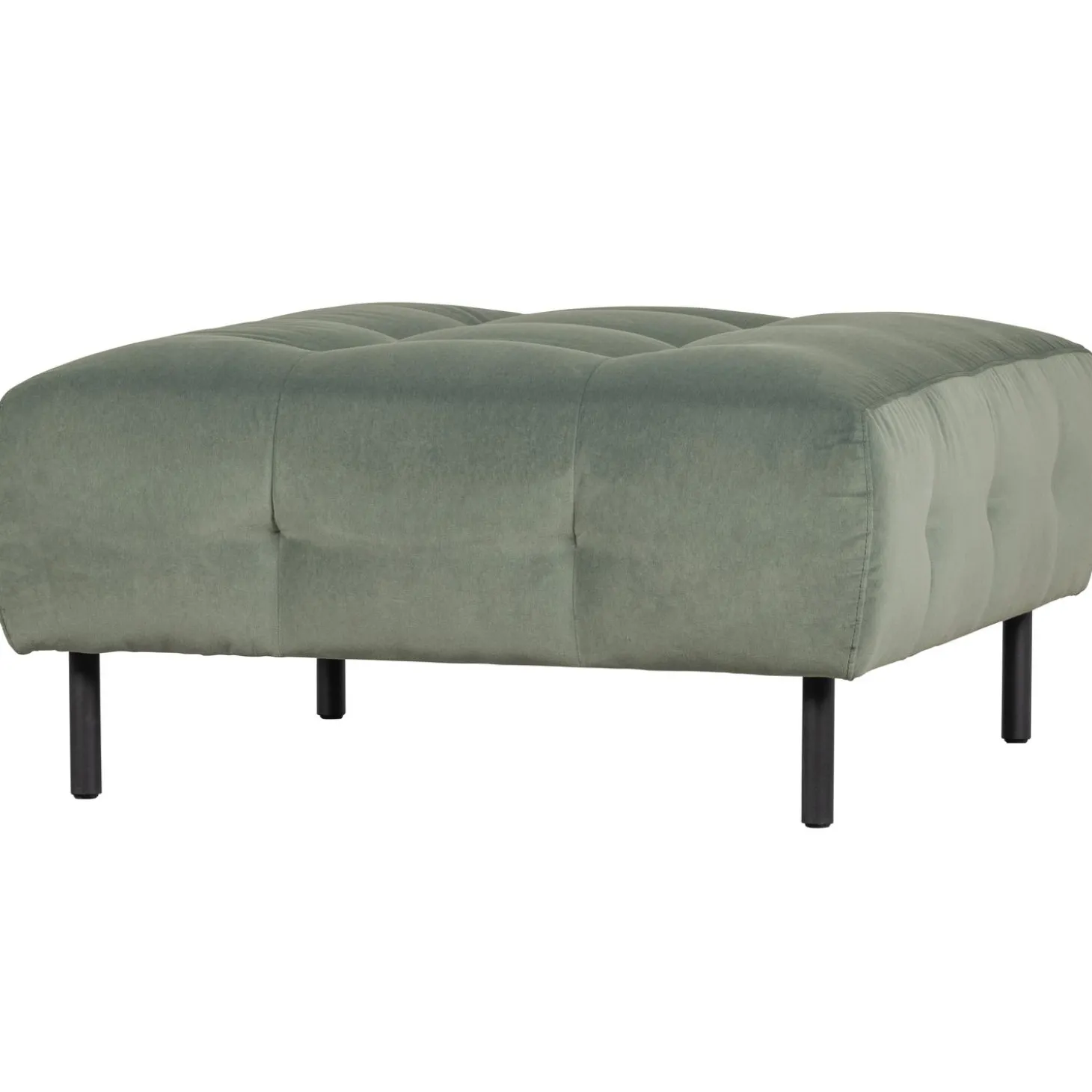 lloyd-hocker-velvet-waterplant-yfJQVyCw-0.webp Best WOOOD Lloyd Hocker Velvet Waterplant