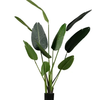 Outlet WOOOD Strelitzia Kunstplant Groen 164 Cm
