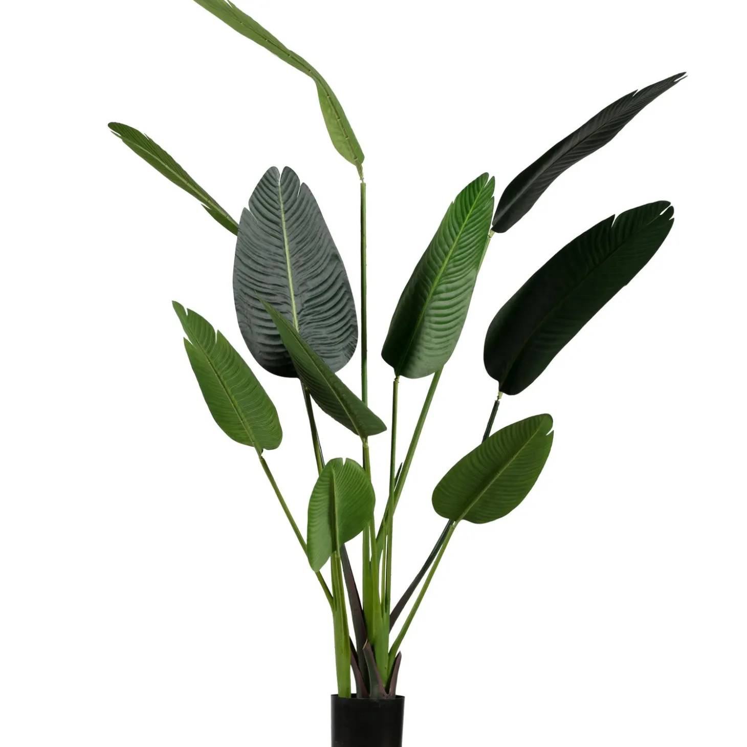 strelitzia-kunstplant-groen-16-csxYuxWf-0.webp Outlet WOOOD Strelitzia Kunstplant Groen 164 Cm